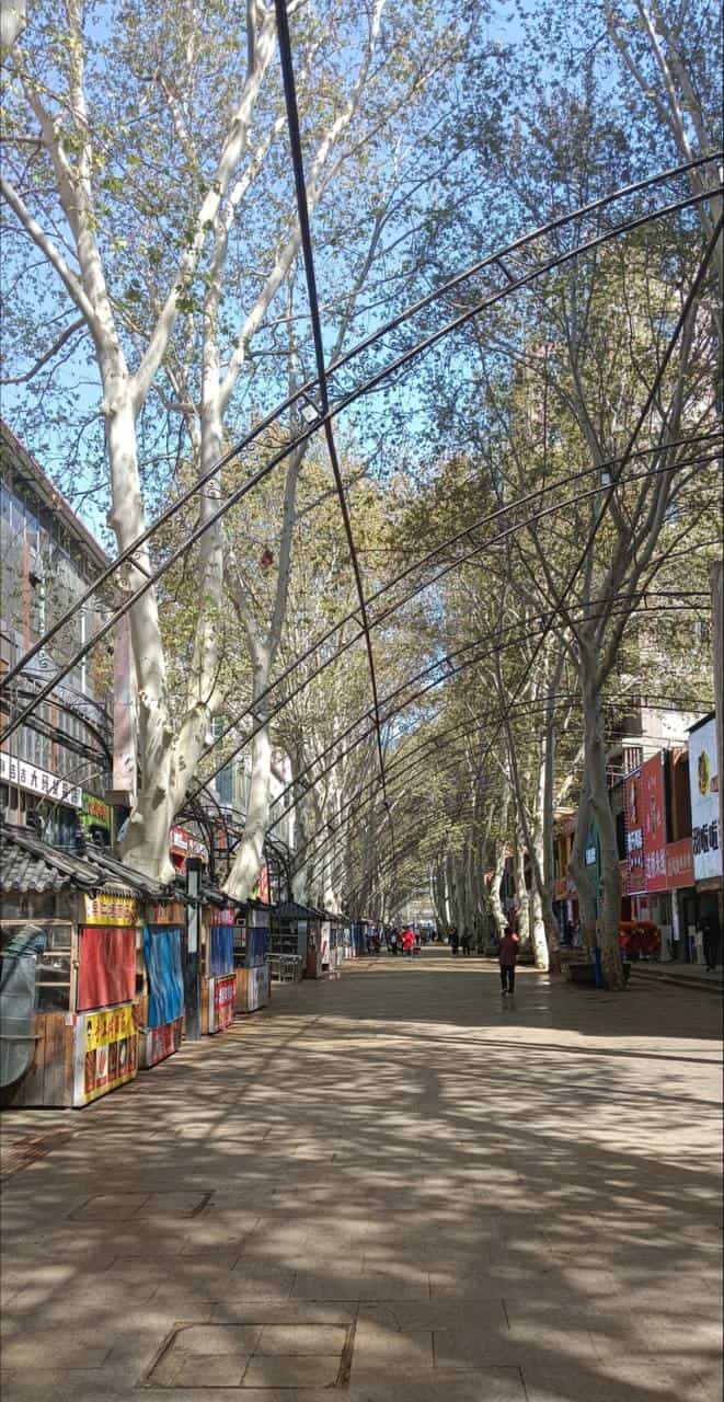 在南三条附近的小区里，之前去过